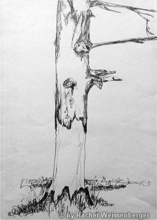 Tree in Siegen, Pencil on paper,