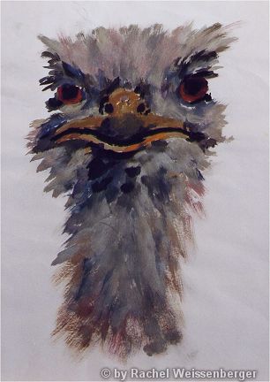 Ostrich, Acrylic watercolours on paper,