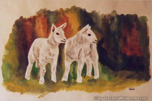 Lambs, Acrylic watercolours on hand-made paper,