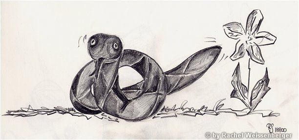 Snake, Pencil on paper,