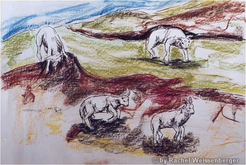 Sheep, Pencil, pastels and chalk on cardboard,