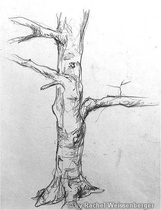 Tree, Siegen, Pencil sketch on paper,