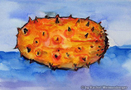 Cucumis metuliferus, Watercolour with ink on paper,