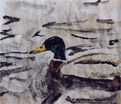 Duck, Watercolour and acrylics on paper,