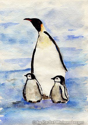 Pinguine, Aquarell und Tusche auf Büttenpapier,