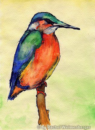 Kingfisher, Watercolour with ink on hand-made paper,