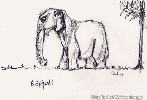 Éléphant, Pencil sketch on paper,