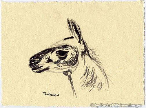 Llama IV, Ink pencils on hand-made paper,