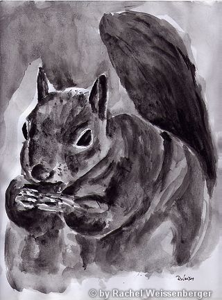 Grey squirrel II, Chinese ink on paper,